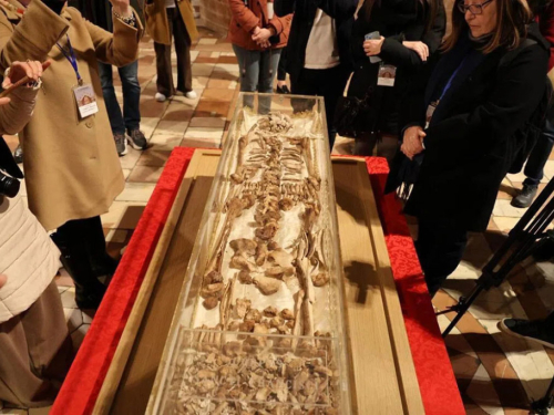 Relikvije svetog Franje Asiškog prvi put u potpunosti izložene javnosti