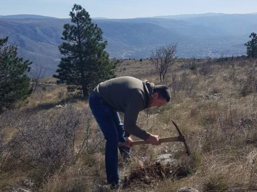 Akcija pošumljavanja na lokalitetu ''Ponir'' u Rami