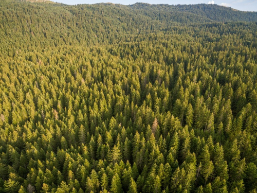 FOTO/VIDEO: Ubo - vrata Vran planine