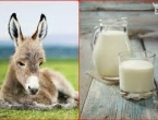 Znate li koliko košta litar magarećeg mlijeka?