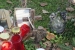 FOTO: Ramljaci na druženju kod Mladena Papka, iločkog vinara ramskih korijena