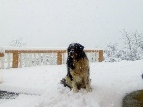 FOTO: Snijeg jutros zabijelio Ramu