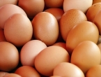 Na bh. tržištu nema jaja s antibioticima