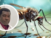 Afrički znanstvenik mogao bi iskorijeniti malariju manipulacijom DNA komaraca