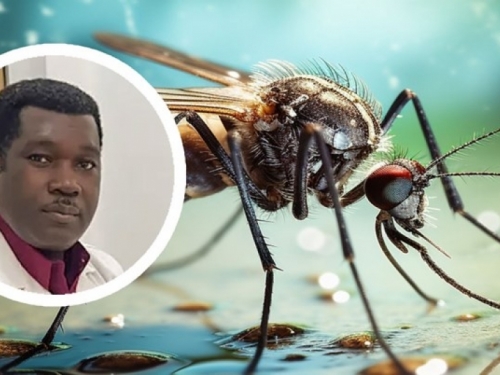 Afrički znanstvenik mogao bi iskorijeniti malariju manipulacijom DNA komaraca