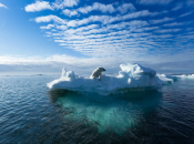 Britanski znanstvenici prate dvije sante leda