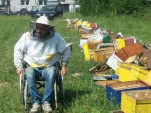 Vandali uništili 40 košnica u pčelinjaku 100-postotnog invalida