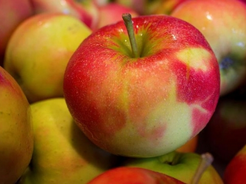 Od danas zabrana uvoza jabuka iz BiH u Rusiju