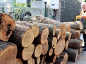 Skok potražnje za drvom, traži se nova zabrana izvoza