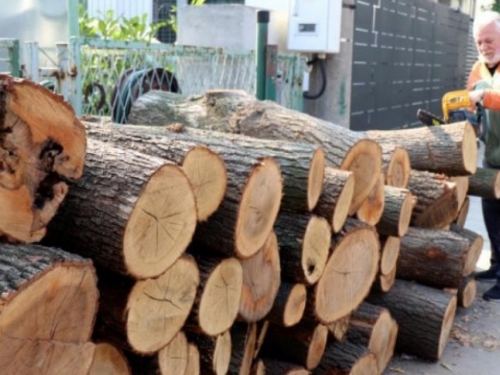 Skok potražnje za drvom, traži se nova zabrana izvoza