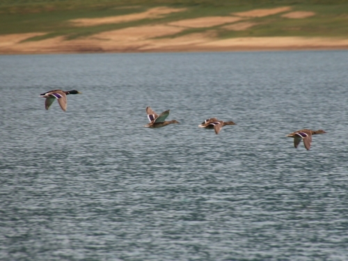 FOTO: Ramsko jezero - mjesto uživanja i rekreacije