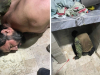 Uhićen najtraženiji narkobos u Ekvadoru, skrivao se u rupi ispod kuhinjskog pulta
