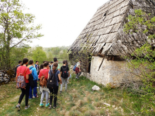 FOTO: ''Škola u prirodi'' na planini Draševo