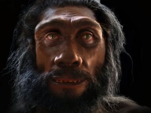 Od majmuna do čovjeka - kako je nastalo lice u 1 minuti