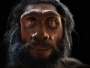 Od majmuna do čovjeka - kako je nastalo lice u 1 minuti