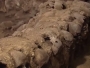 VIDEO: U Meksiku pronađen "toranj" sagrađen od ljudskih lubanja