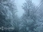 Snijeg će do kraja dana zamesti cijelu Bosnu
