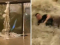 Supertajfun Ragasa pogodio Aziju, deseci mrtvih. Voda razvalila hotel u Hong Kongu