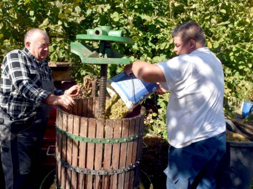 FOTO: Zora i Slavko Bošnjak iz Rame postali pravi vinogradari