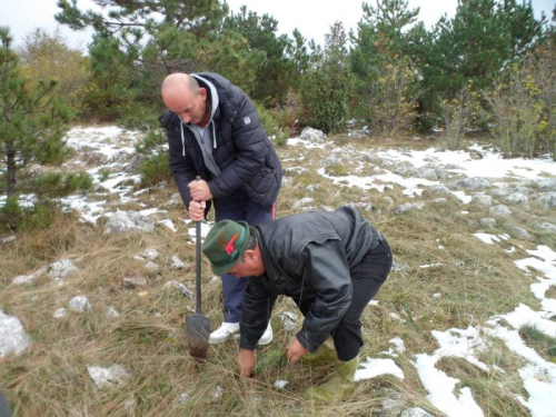 Uspješno realizirana akcija pošumljavanja na području općine Prozor-Rama