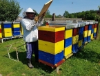 Tako to rade Makedonci: Raste interes mladih za pčelarstvo