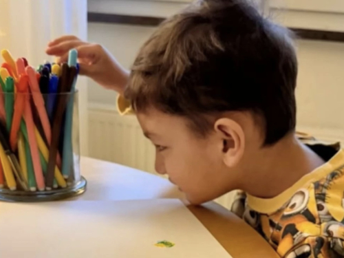 Majka dječaka kojeg je Švedska deportirala u BiH: Tretiraju nas kao kriminalce