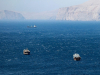 Iran: Omanski zaljev bi mogao postati groblje za američke brodove