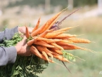 Najzdravije je sezonsko: Voće i povrće koje dozrijeva u rujnu