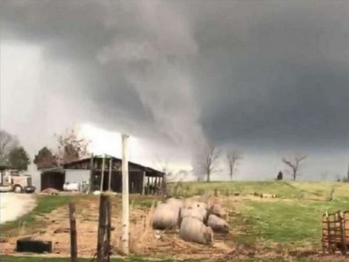 Poplave i tornada poharali dijelove SAD-a, četiri osobe poginule