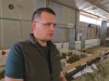 VIDEO: Četvorica braće rade od jutra do mraka i dokazuju da se od sela može gospodski živjeti