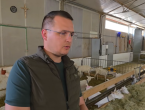 VIDEO: Četvorica braće rade od jutra do mraka i dokazuju da se od sela može gospodski živjeti