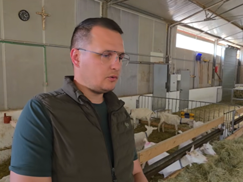 VIDEO: Četvorica braće rade od jutra do mraka i dokazuju da se od sela može gospodski živjeti