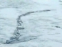 Snimio jezersko čudovište kako se probija kroz led!