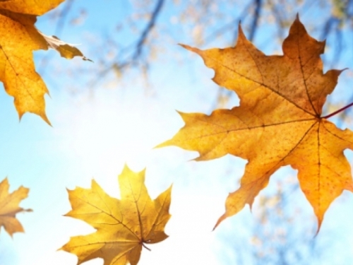 Iznadprosječno topla i suha jesen sve do polovine listopada
