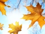Iznadprosječno topla i suha jesen sve do polovine listopada