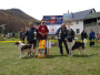Državno prvenstvo Tornjaka Rama 2011.