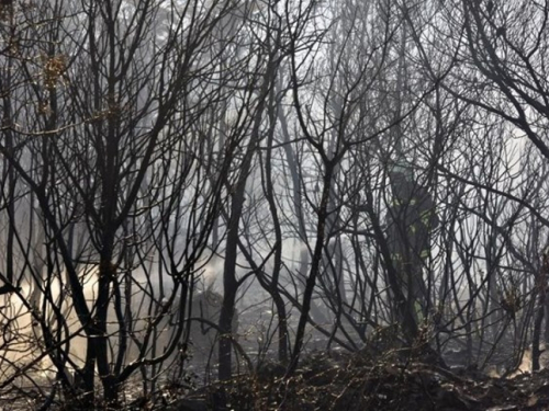 Kiša ugasila požar na Dinari u BiH koji je 20 dana palio sve pred sobom