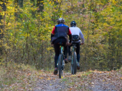 Kako možete sniziti kolesterol prirodnim putem?