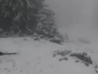 Na Vlašiću jutros osvanuo snijeg, temperature ispod nule