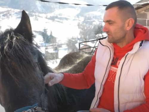 Da su imali 1000 janjadi sve bi prodali