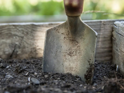Ne bacajte stare žute spužve: Mogu učiniti čudo za vaš vrt