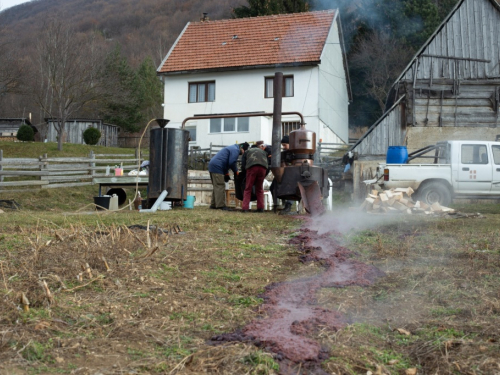 FOTO: Sezona je pečenja rakije na Orašcu – ''Veseli stroj'' radi punom parom