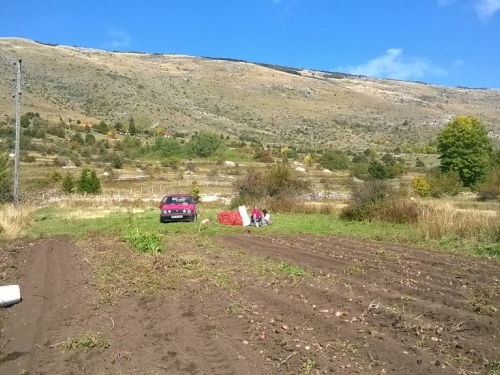 Ubiranje plodova svoga rada