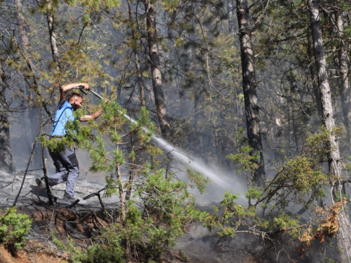 VIDEO/FOTO: Požar u Podboru - Vatrogasci nemoćni, borovina gori nekontrolirano