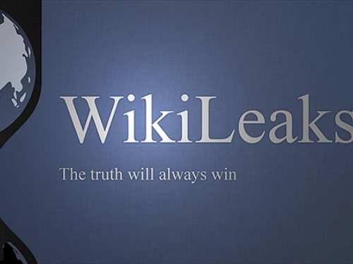 "Wikileaks" na meti hakera