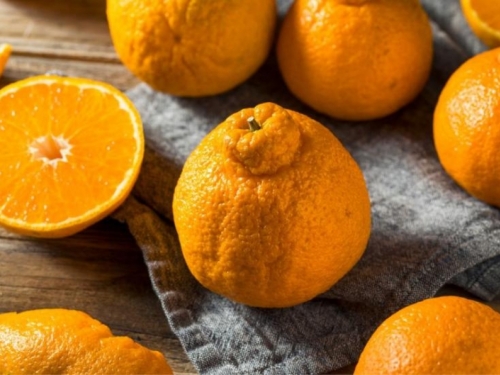 Je li ovo najsavršeniji citrus na svijetu?
