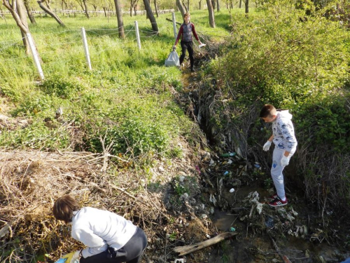 FOTO: Učenici u akciji čišćenja obale Ramskog jezera