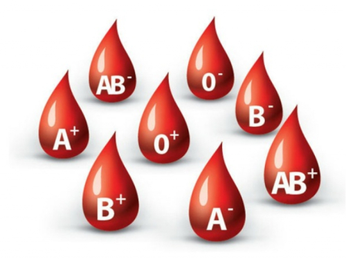 A, B, AB ili 0: Koja je najotpornija krvna grupa?