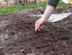 7 savjeta: Što sijati, saditi i raditi u travnju?