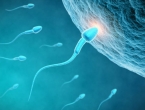 Od kože muškarca napravili umjetnu spermu